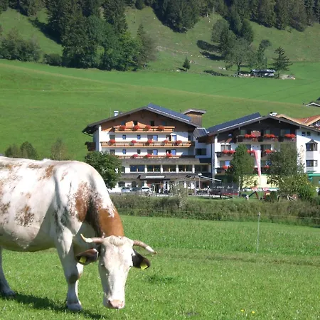 ホテル Wildauerhof