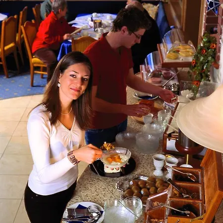 维达尔霍夫酒店 酒店 4*