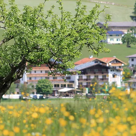 维达尔霍夫酒店 酒店 瓦尔赫湖