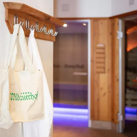 维达尔霍夫酒店 4*