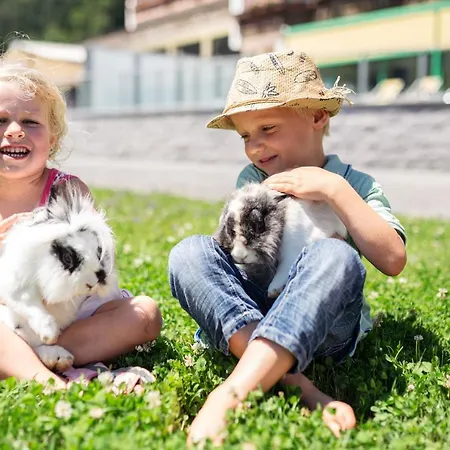 维达尔霍夫酒店 4*