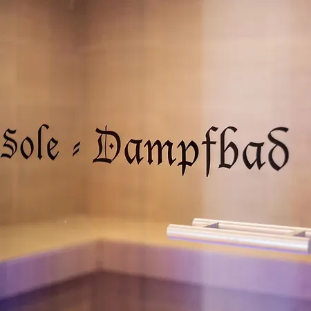 酒店 维达尔霍夫酒店 4*